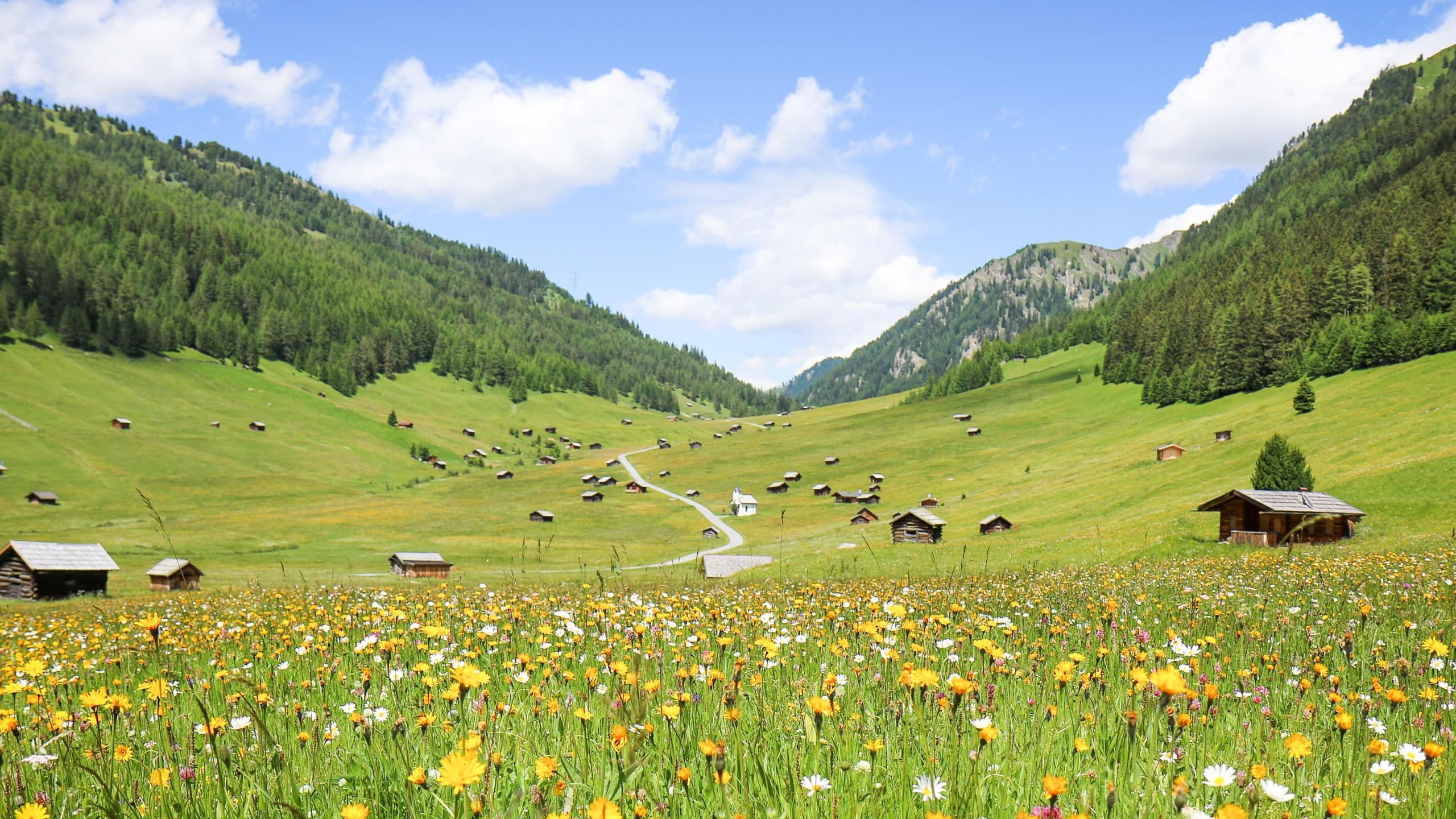 e-TVB-Tiroler-Oberland-Kurt-Kirschner-Tschey-Sommer-2018_3