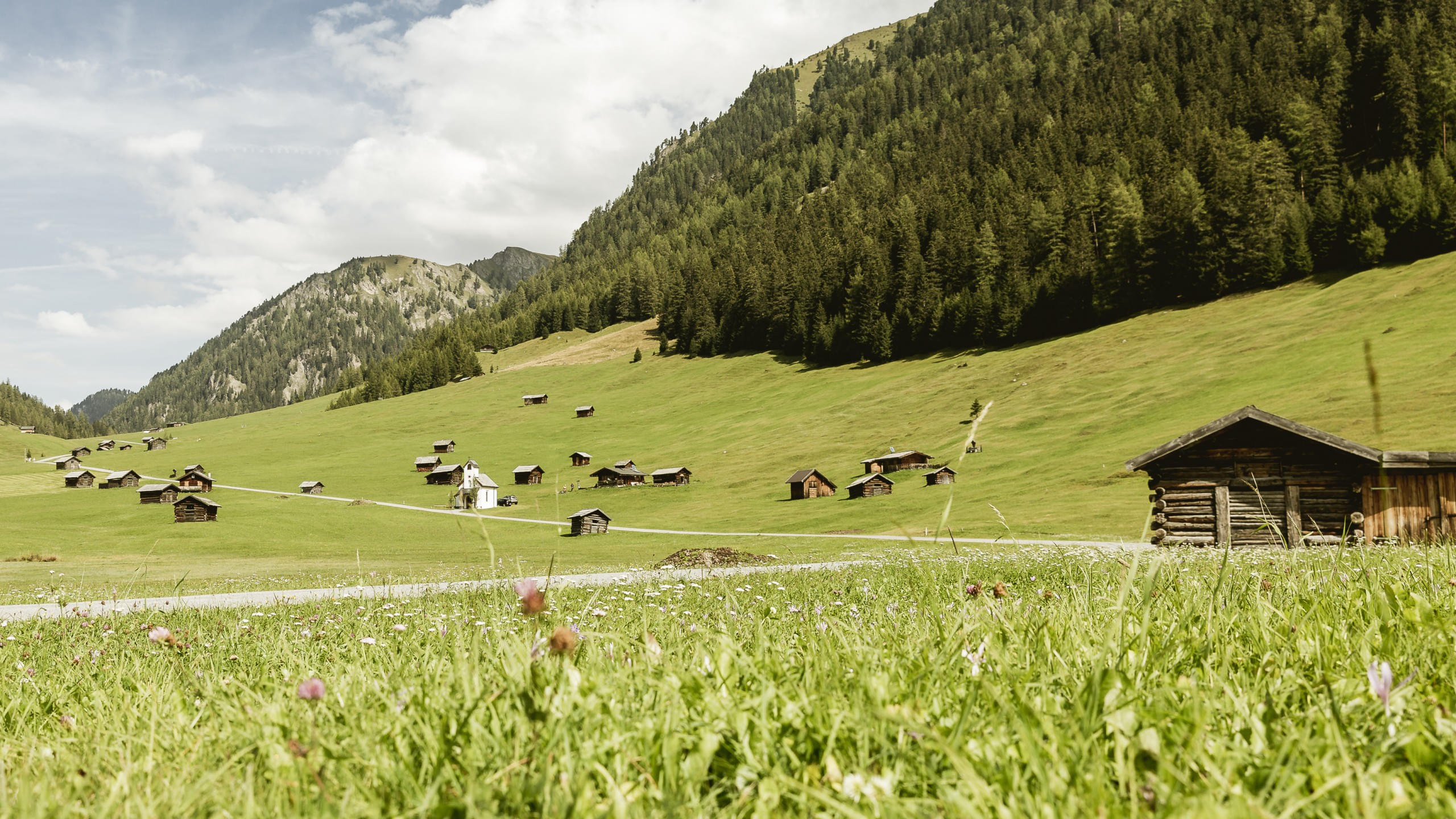 e-TVB-Tiroler-Oberland-Rudi-Wyhlidal-Biken-Gschnairalm-2020_1